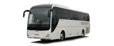 MAN Lions Coach